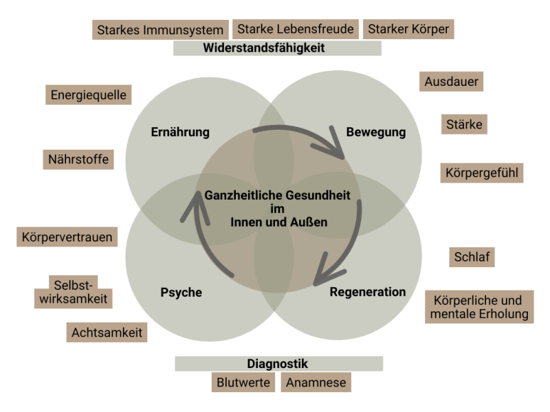 Marketing Mix 4-Kreis-Venn-Diagramm (1) Reizdarm Immunsystem Blähbauch
